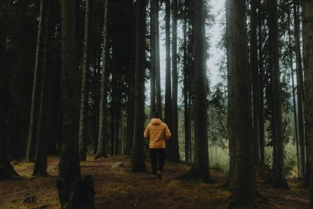 Mies juoksee syksyisessä maisemassa.